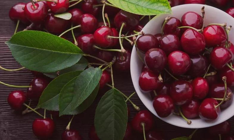 为什么说新西兰的樱桃是全世界最好的？